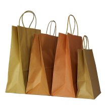 Economy Medium Kraft Twist Handle Bags