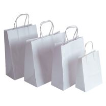 Economy Small White Twist Handle Bags