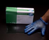 Small Blue Vinyl Gloves