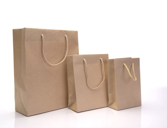 Rope handle 2025 paper bags